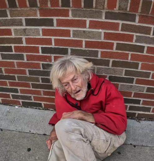 Let's Give Nico the Comfort He Deserves