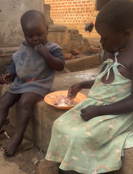 Help Us Give a Life Saving Care And a Place To Belong For Orphaned Kids